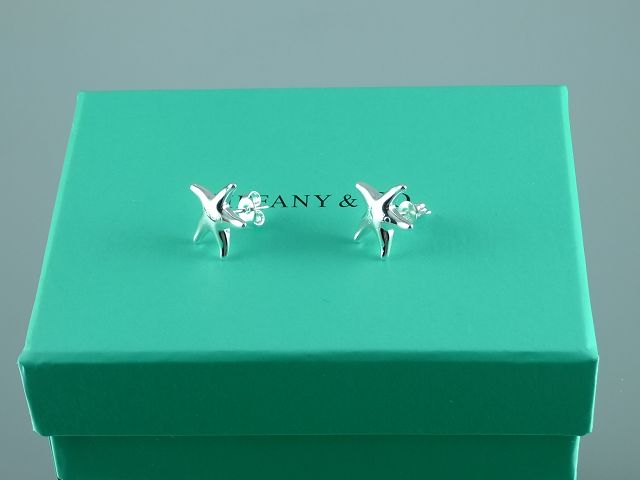 tiffany Earrings-154